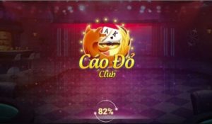 Cáo Đỏ Club