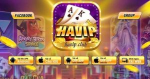 Havip Club